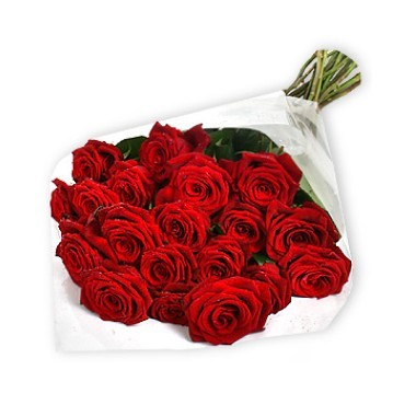 Two dozen roses bouquet