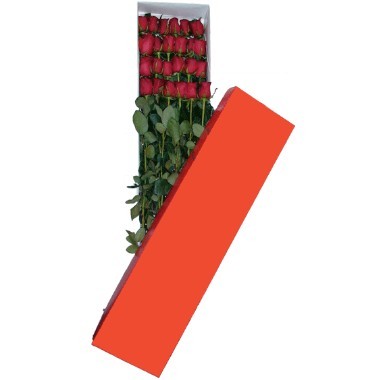 Two dozen red roses in box
