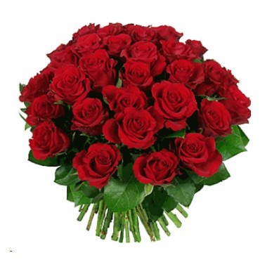 Three dozen roses bouquet