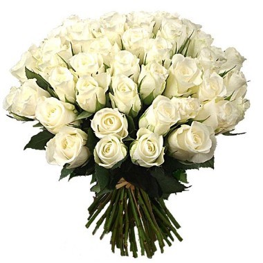 Three dozen white roses bouquet
