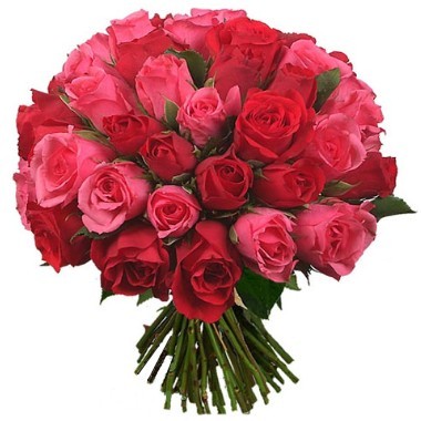 Three dozen red and pink roses bouquet