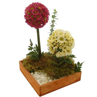 Flowers of Field