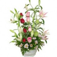 The sweet perfum of my mom