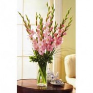 Gladiolos in a vase