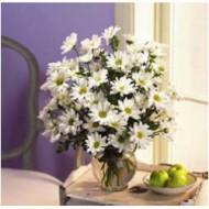 Margaritas arrangement