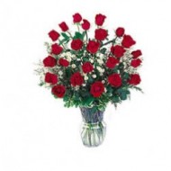 2 dozen roses