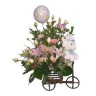 Teddy in bicycle with balloon