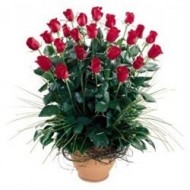 50 roses arrangement