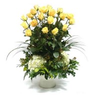 Light Yellow