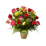 Multicolor roses