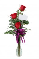 Three Roses in Vase